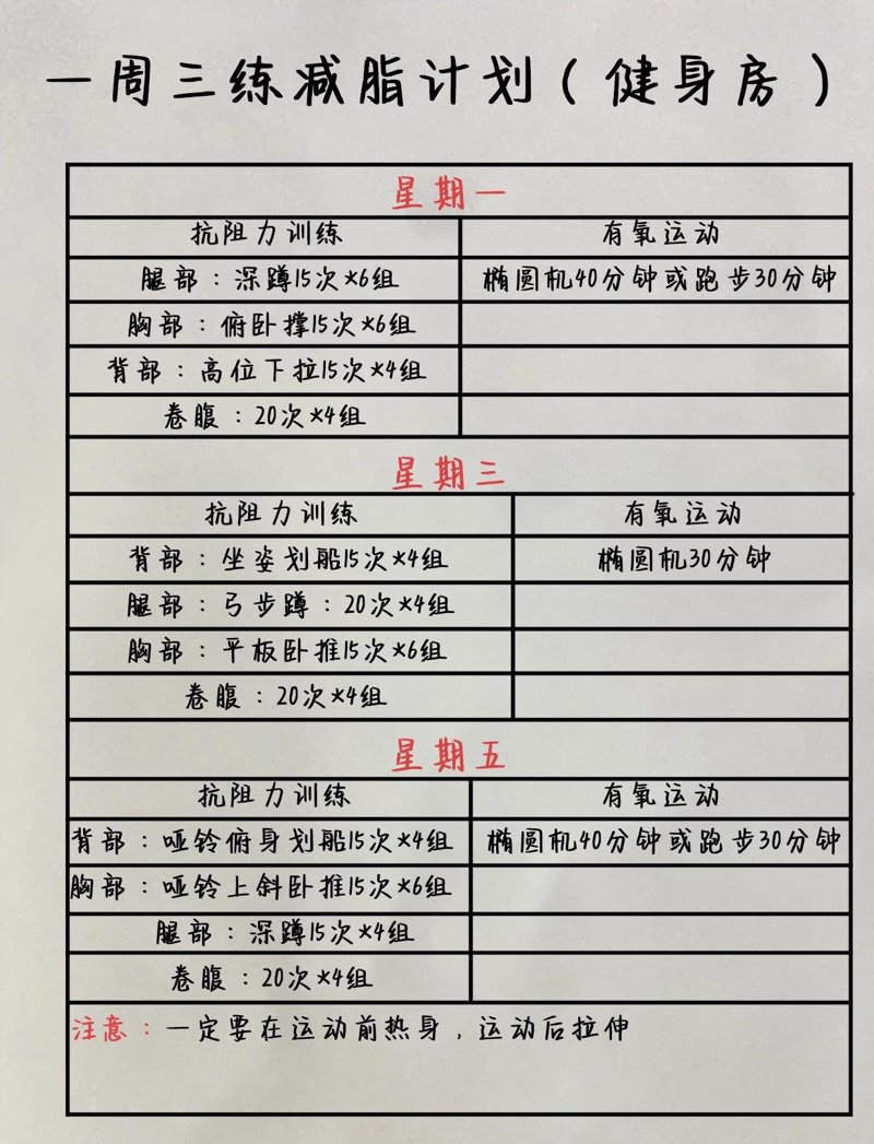 南充健身训练网:连接运动与健康的桥梁